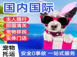 图木舒克唐王城航空运输国际宠物托运 【国